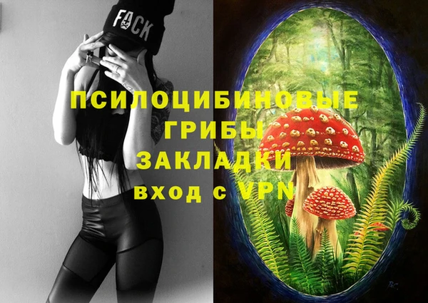 прущие грибы Алексеевка