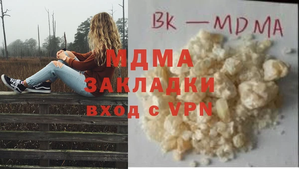 прущие грибы Алексеевка