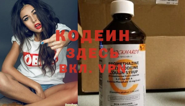 прущие грибы Алексеевка