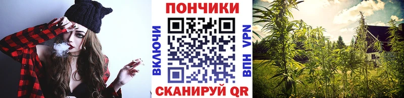 Бошки Шишки LSD WEED  купить закладку  Оленегорск 